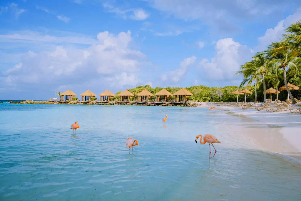 7 Caribbean Paradise to Visit in 2022 - Travelling Buzz